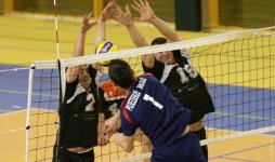 phoca_thumb_l_siatkowka07